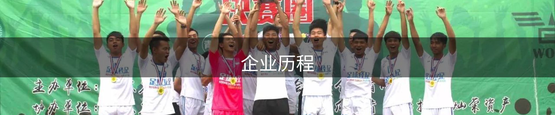 企业历程
