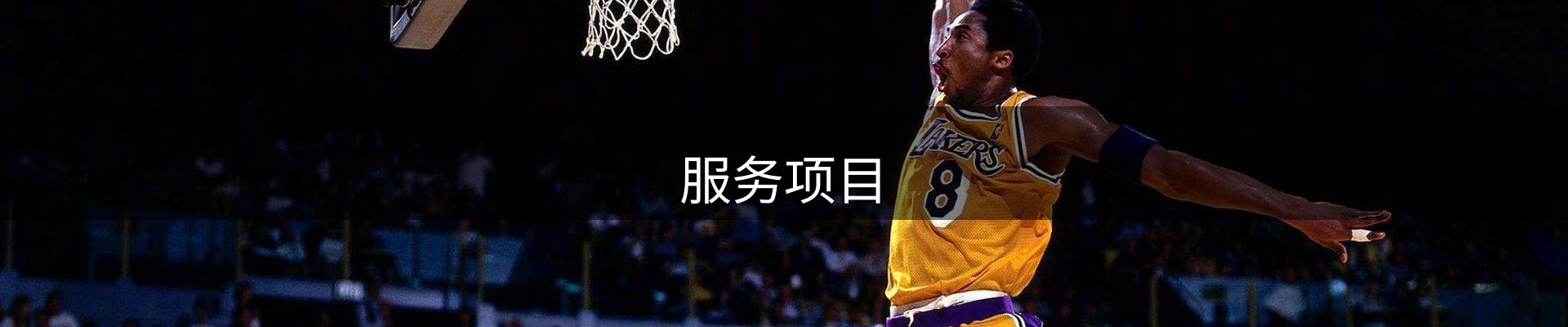 服务项目